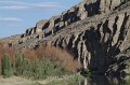 Rio Grande at Cottonwood 2011_07_16_1578